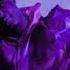 Juice WRLD Purple Moncler Instrumental