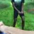 Spamming Was Key Viral Shorts Funny Wii Wiisports Swordplay