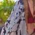 Tu Tu Hai Wahi Nora Fatehi Song Ishaan Khatter Norafatehi Theroyals Shortsvideo Shorts