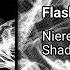 Niereich Shadym Flashbang GT22