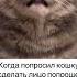 Ну типа лол чел