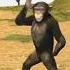 Cute Monkey Tiktok Dance Challenge Tiktokdance Shorts Animation