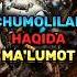 CHUMOLILAR HAQIDA MAʼLUMOT Chumoli Haqida Malumot Ants Ant Animals Islam Islamic Allah