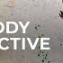 Spag Heddy Viperactive Invane Monstercat Release