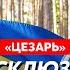 Легендарный Цезарь легион Свобода России Куда исчез Путин Когда русский бунт