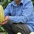 Harvesting Melon For Sale Make Clean Farm Garden Lonely Life Of A 60 Year Old Man Solo Survival