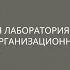Международная лаборатория онлайн нетворкинга Организационная весна 2021 Часть 2