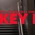 LIZOT Paradigm AMELY Monkey Mind