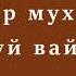 224 ᴴᴰ Дол дилар муха ду иза мегаш дуй вай Динаьхь Абу Халид