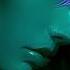 MIRAGE By HENRY SAIZ 5th Edition The Dream AI Audiovisual Show Buenos Aires