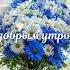 С добрым утром Хорошего всем сегодня