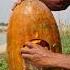 Vey Unique Fishing Videos