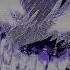 Alors On Phonk WMond INSTRUMENTAL