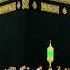 Ho Karam Sarkar Islamicfigure Duet Shorts