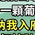 成婚不過三年 沈照宣卻養了外室 那外室我見過 嫩得能掐出水 看得我都心動 她嘴裏含著一顆葡萄朝著沈照宣遞去 若是她這一胎保不住 爺會納我入府嗎 我嗤笑 笑啊 皆大歡喜啊 妳不是最會笑了嗎 還差顆葡萄