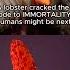 Most Disturbing Videos On The Internet Today Part 405