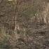 Harvey County Sheriff S Office Identifies Body Found As Woman Missing Over Two Years
