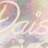 Zedd Daisy Audio Lyrics