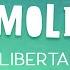 Nil Moliner Libertad Lyric Video Oficial Letra Completa
