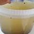 OASE BioMaster The Most Easy Prefilter Cleaning Ever