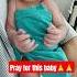 Baby Boy Suffering Neonatal Jaundice Disease Baby Doctor Niculife