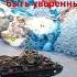 подпишись танки ебашим заРосию