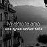 Te Amo
