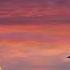 Let Your Love Flow Larry E Williams Guitar Instrumental By Kjell Christensen