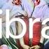 LIBRA SOMEONE LOVES AND WANTS YOU MORE THAN YOU KNOW LOVE TAROT