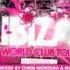 Ibiza World Club Tour CD Series Vol 2 Mixed By Chris Montana Matt Myer DJ Metzker Viktoria