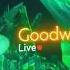 Интро GoodWIN Live