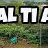 NO APAL TI AGARI AYNA WOW 477 ILOCANO COMEDY DRAMA Jovie Almoite