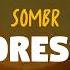 Sombr Undressed Lyrics