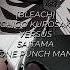Ichigo Kurosaki Vs Saitama