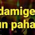 Cu O Damigeana Si Un Pahar Karaoke Versuri