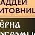 Святослав Можей рекомендует Старец Фаддей Витовницкий Зерна добромыслия