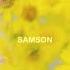 Brittany Howard Samson Lyric Video