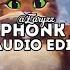 Gigachad Phonk Theme X Warning Phonk Mashup Edit Audio
