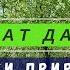 табиғат дауысы звуки природы табиғат дауысы звуки природы