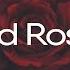 Lil Skies Red Roses 8D AUDIO