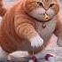 The Cat That Became A Lifeguard