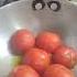 Viral Tomato Chutney Recipe Short FriendfamilyVlogs3