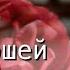 Под ношей тяжкого креста христианская песня ЕХБ