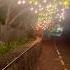 While Walking Along The Road Enjoying The Decorations On Today S Vesak Day Srilanka Shors New Yt