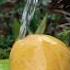 Mango With Spicy Shots Nwe Recipel Viar