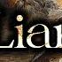 Jayden B Liar Visualizer