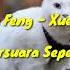 Learn To Meow Xue Mao Jiao Belajar Bersuara Seperti Kucing Xiao Feng Feng