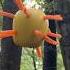 Secret Ritual Of The Apparrotini Carrot Apple Zucchini Guys