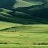 Mongolian Throat Singing Trance Remix
