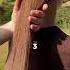 Don T Use Rosemary Water Unless You Want Amazing Hair HairHack RosemaryWater Hairgrowthtips